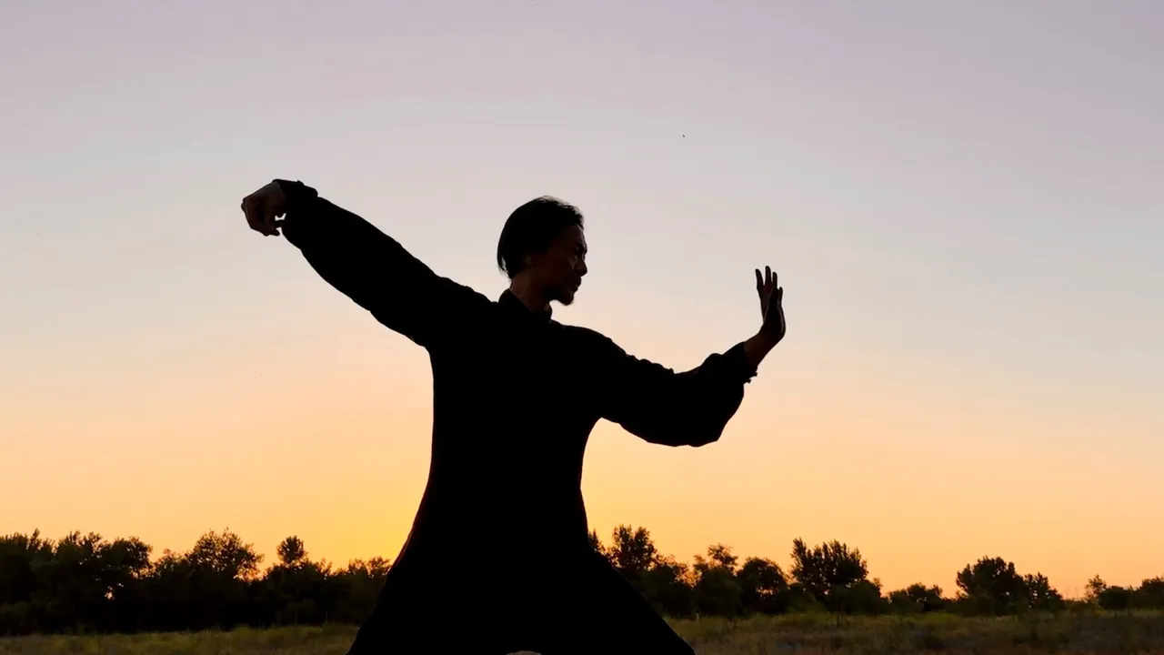 Thomas Lim in silhouette holding a wide tai chi posture against a sunset sky over treetops.