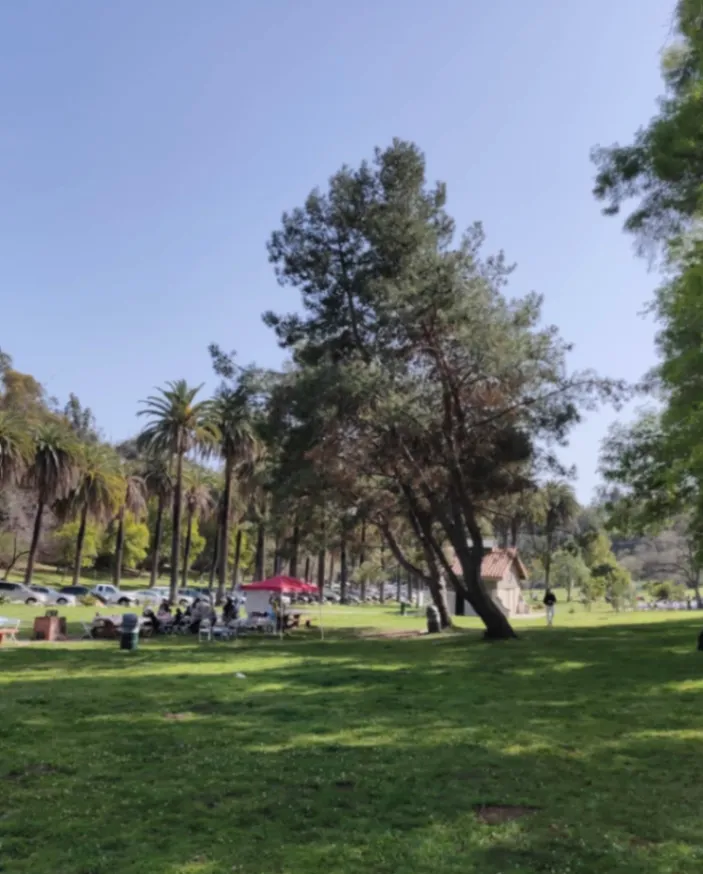 EDM x Qigong at Elysian Park