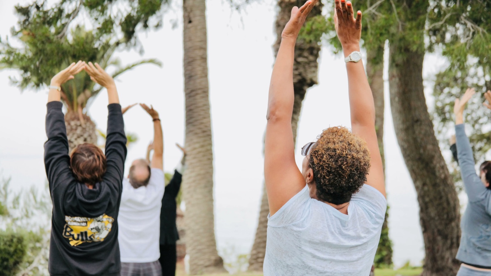 Seen from behind, participants in an outdoor tai chi class raise their arms overhead on a lawn among tall palm and pine trees
