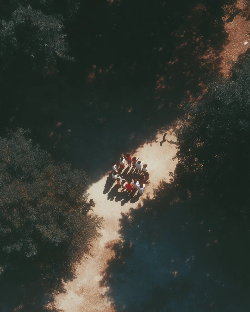 Community gathering in a park